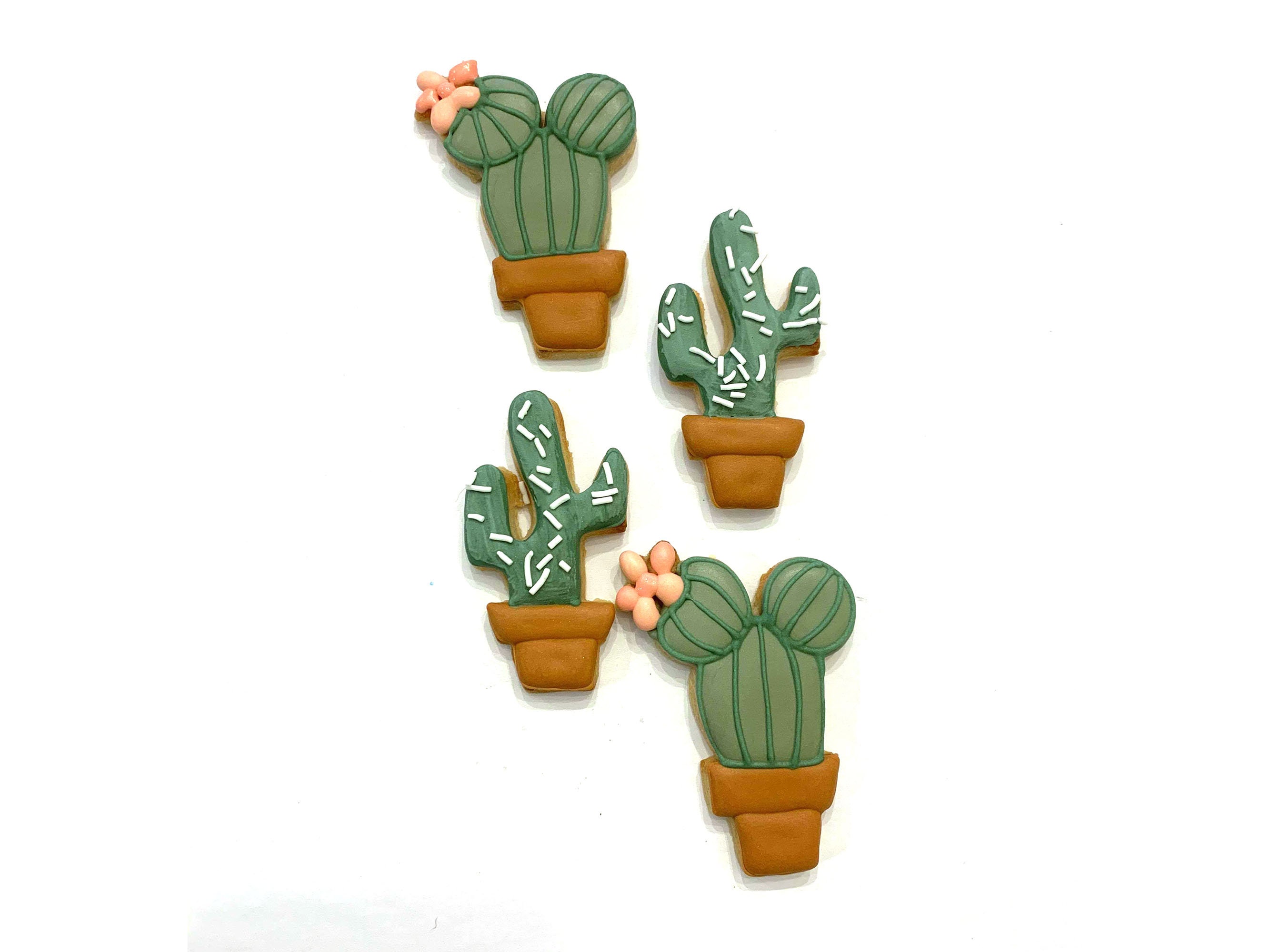 Cacti Cookie Cutters Cactus in Pot Silhouette Set Round Plant Etsy