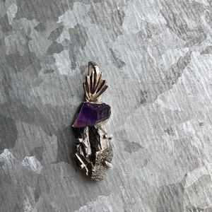 Meteorite Campo Del Cielo and Amethyst 925 Sterling Silver Pendant
