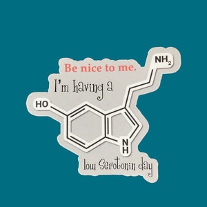 Mental Health Sticker, best friend gift, waterproof vinyl laptop sticker, stocking stuffer, custom stickers