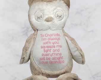 Personalised memory bear with heartfelt poem, Gift from a loved one in Heaven, In loving memory teddy, Unique memorial keepsake for a child