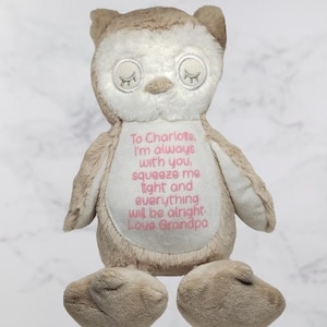 Personalised memory bear with heartfelt poem, Gift from a loved one in Heaven, In loving memory teddy, Unique memorial keepsake for a child