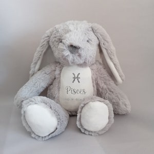Personalised star sign teddy, Birthday gift, Zodiac bear, Celestial horoscope present, Aquarius birthday gift, February keepsake present