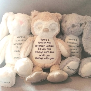 Personalised memorial bear, In loving memory, Gift for a grieving child, Children&#39;s comforter, Special keepsake from a loved one