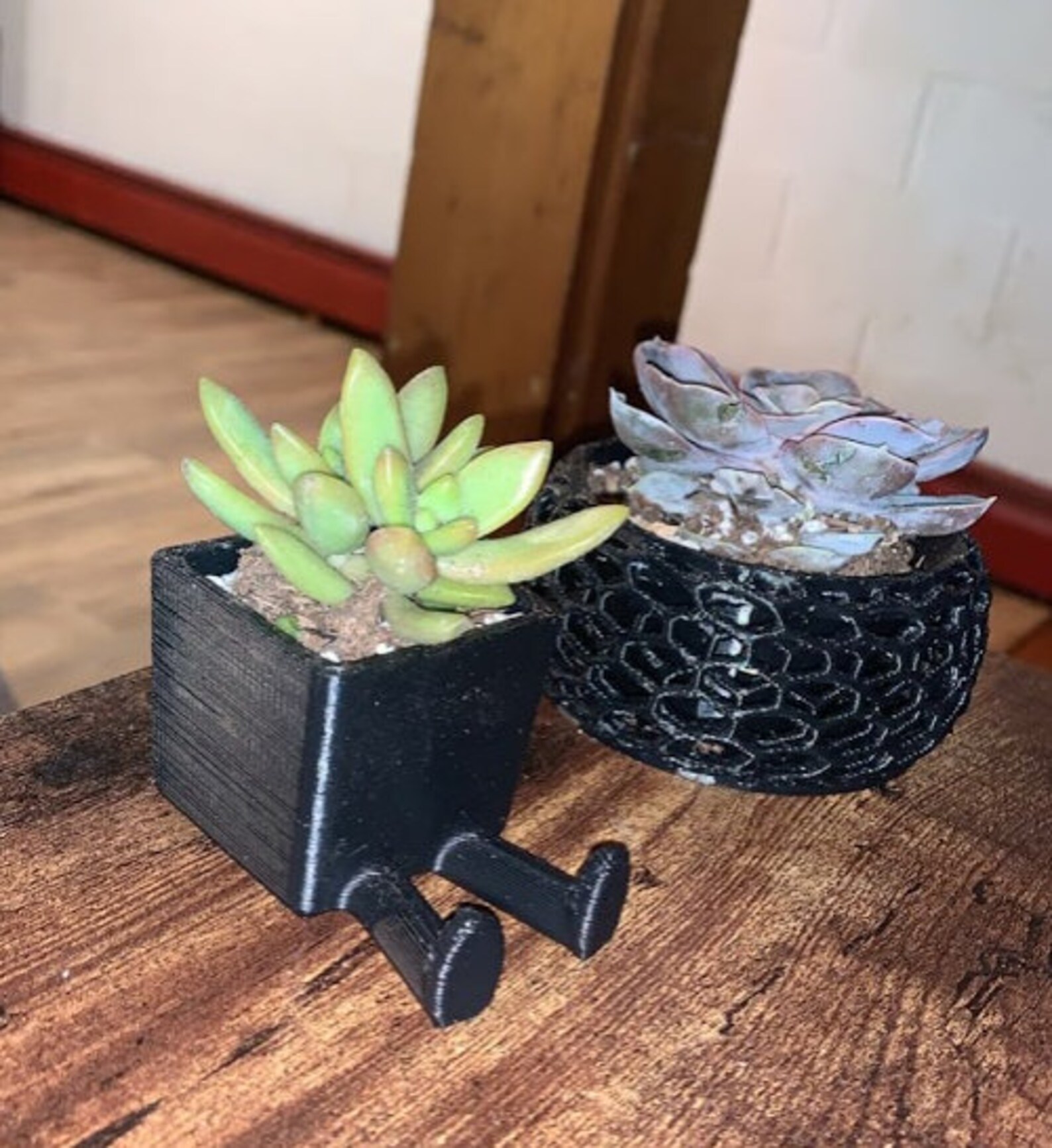 3D Printed Succulent Planters Etsy