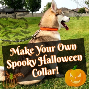 May include: A husky dog wearing an orange and black Halloween collar with the text "Make Your Own Spooky Halloween Collar!" on a green grassy background with a jack-o-lantern.