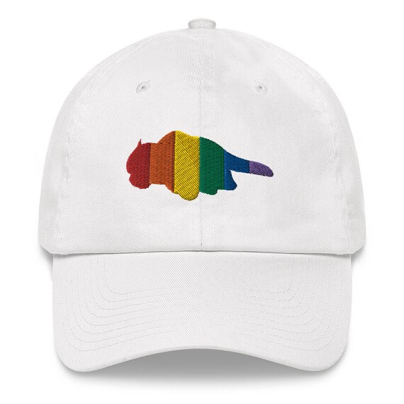Last Airbender Pride Dad Hat Ball Cap 