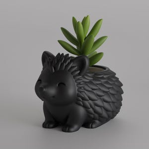 Puede incluir: Una maceta negra con forma de erizo con una planta suculenta. La maceta tiene un diseño texturizado y puntiagudo y una pequeña abertura para la planta. La suculenta tiene hojas verdes. La maceta es de cerámica o material similar.