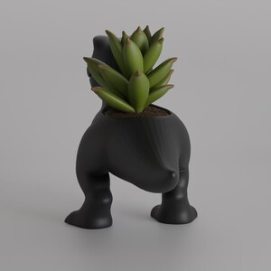 May include: A black, stylized planter shaped like a figure, with legs and a rounded body. The planter holds a green succulent plant. The overall design is modern and minimalist, suitable for home decor.