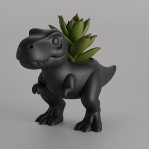 May include: A black dinosaur-shaped planter with a succulent plant. The planter is a stylized Tyrannosaurus Rex with a hollowed-out back to hold the plant. The succulent has green leaves. The planter is made of a matte material.
