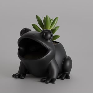 Può includere: Un vaso nero a forma di rana con una pianta succulenta verde. La rana ha la bocca aperta e dettagli realistici. La pianta aggiunge un contrasto naturale al vaso scuro.