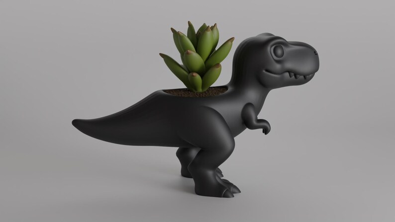 May include: A black dinosaur-shaped planter with a green succulent plant. The planter is a stylized Tyrannosaurus Rex with a smiling expression. The plant is potted in soil within the dinosaur's back.