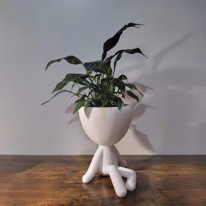 Puede incluir: Una maceta de cerámica blanca con forma de persona, que contiene una planta verde con hojas de color verde oscuro. La maceta tiene una cabeza y un cuerpo redondeados con piernas. La planta está centrada en la maceta, con hojas que se extienden.