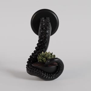 Puede incluir: Macetero negro en forma de pulpo con una planta suculenta en su interior. El macetero está diseñado para parecer un pulpo con sus tentáculos envueltos alrededor de la maceta.