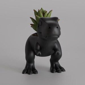 May include: A black dinosaur-shaped planter with a succulent plant. The planter is a stylized Tyrannosaurus Rex with a wide mouth and small arms. The succulent has green leaves and is planted in the dinosaur's head.
