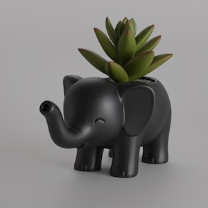 Może przedstawiać: Czarny doniczka w kształcie słonia z zieloną rośliną sukulentową. Doniczka ma uśmiechniętą twarz i jest wykonana z gładkiego materiału. Sukulent ma zielone liście z czerwonawymi końcówkami.
