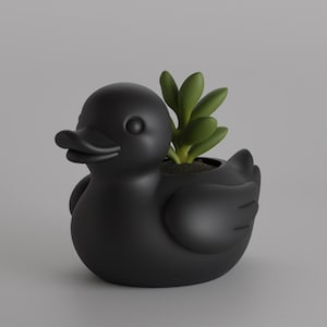 May include: A matte black duck-shaped planter with a small green succulent plant. The duck has a detailed beak, eyes, and wings. The planter is a unique decorative item for home or office.