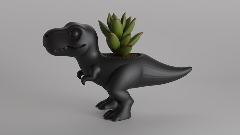 May include: A black dinosaur-shaped planter with a green succulent plant. The planter is a stylized Tyrannosaurus Rex with a smiling expression. The plant is potted in soil within the dinosaur's back.