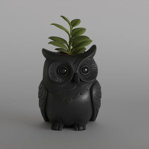 May include: A black owl-shaped planter with a small green plant sprouting from the top. The planter has large, round eyes and detailed feather textures. The owl is a decorative item for home decor.