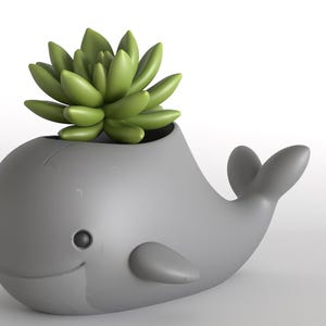 Puede incluir: Una maceta gris con forma de ballena con una cara sonriente, que contiene una planta suculenta verde. La maceta tiene un acabado liso y una pequeña aleta a cada lado. La suculenta es de un color verde vibrante.