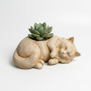 May include: A set of three ceramic mugs with a speckled, matte finish. The mugs are in shades of cream, light gray, and dark gray. Each mug has a simple, minimalist design, perfect for coffee or tea.