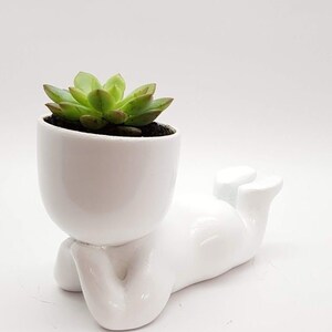 Puede incluir: Macetero de cerámica blanca con forma de persona tumbada, con una pequeña planta suculenta verde en su interior.