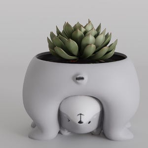 Süßer 3D-gedruckter Waschbär-Übertopf oder Stifthalter | Bezaubernder Tier-Organizer für den Schreibtisch | Lustiger Sukkulententopf | Süßes Geschenk für Pflanzenliebhaber