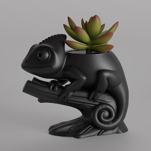 Puede incluir: Una maceta negra con forma de camaleón que sostiene una planta suculenta. La maceta está posada en una rama estilizada, con las hojas verdes y rojas de la planta contrastando con la forma oscura. Un artículo decorativo único.