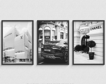 Luxury Fashion Poster, Set of 3, Pribtable Wall Art, Digital Designer Poster, Minimalist Vertical Gifts, Black & White Style Photography