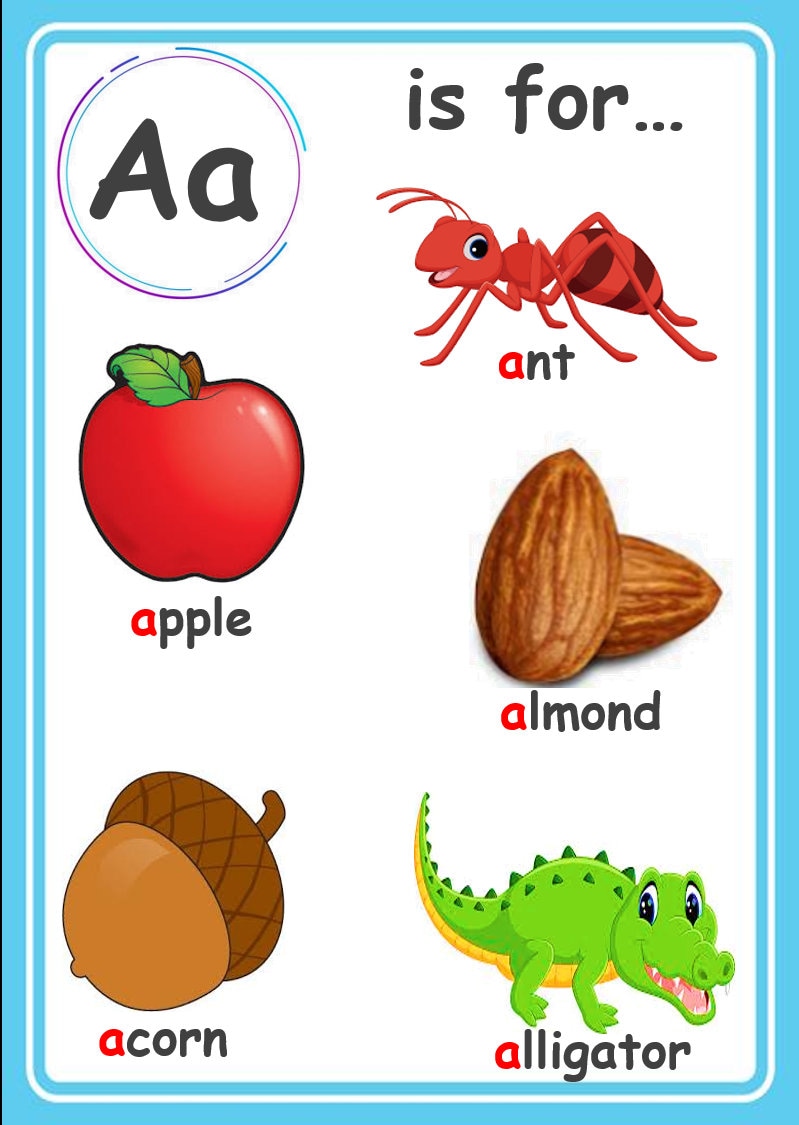 Flash Cards alphabet and Dhivehi Etsy