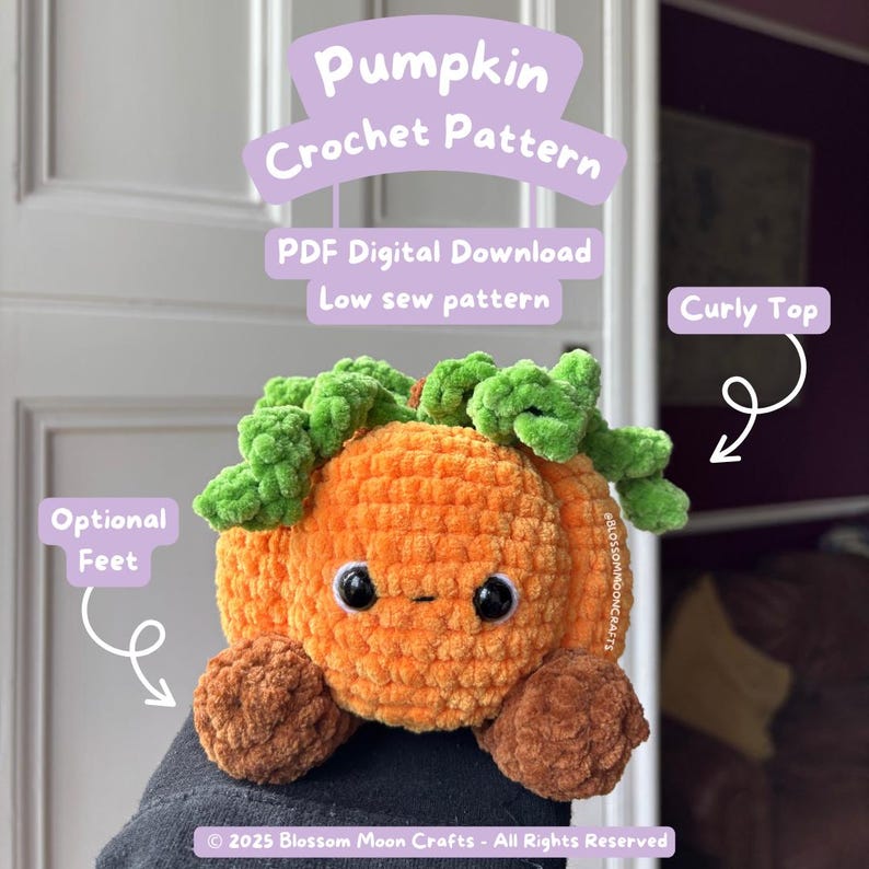 May include: An orange crochet pumpkin with green curly top and optional brown feet. The pumpkin has black eyes and a small smile. Text on the image reads "Pumpkin Crochet Pattern" and "PDF Digital Download".