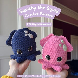 Squishy the Squid crochet pattern - PDF Pattern - Beginner friendly