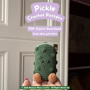 Pode incluir: Um picles de crochê verde feito à mão com pequenos olhos pretos e dois pés castanhos. A imagem inclui o texto "Pickel Crochet Pattern PDF Digital Download Low sew pattern."