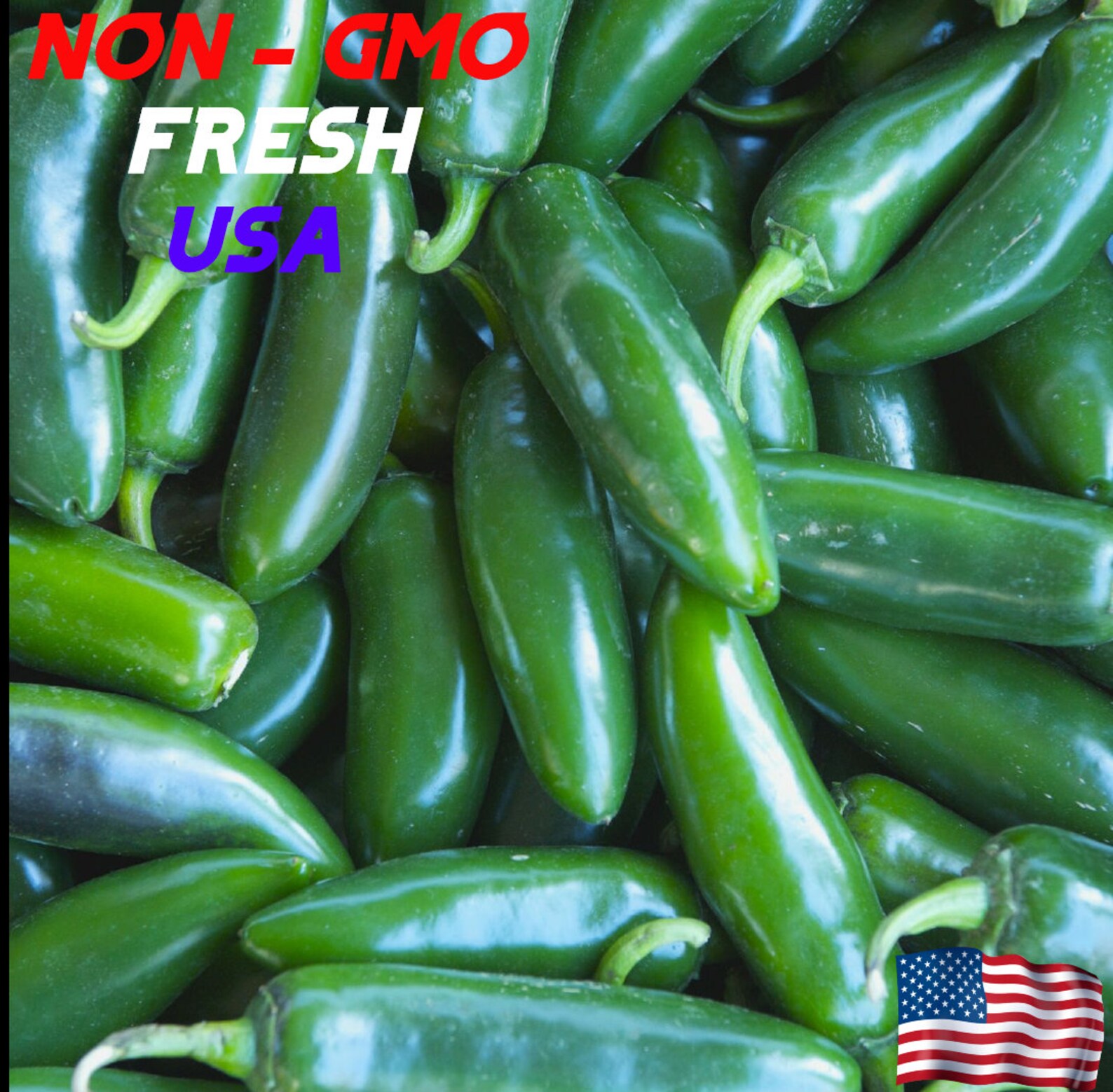 Early Hot Jalapeno Seeds NON GMO USA Etsy