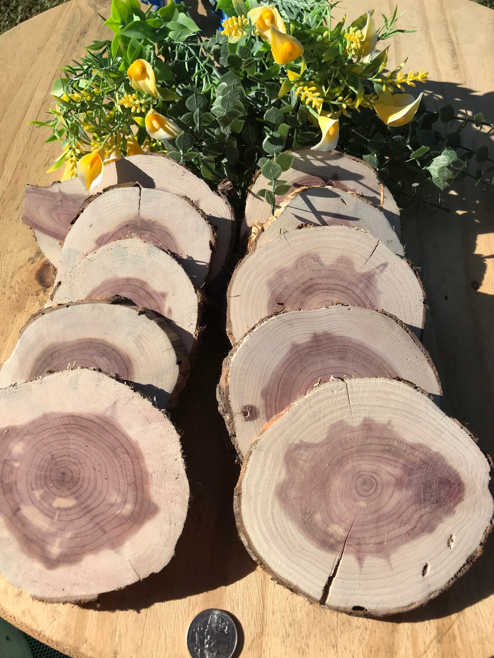 15Cedar Wood Cookies Etsy