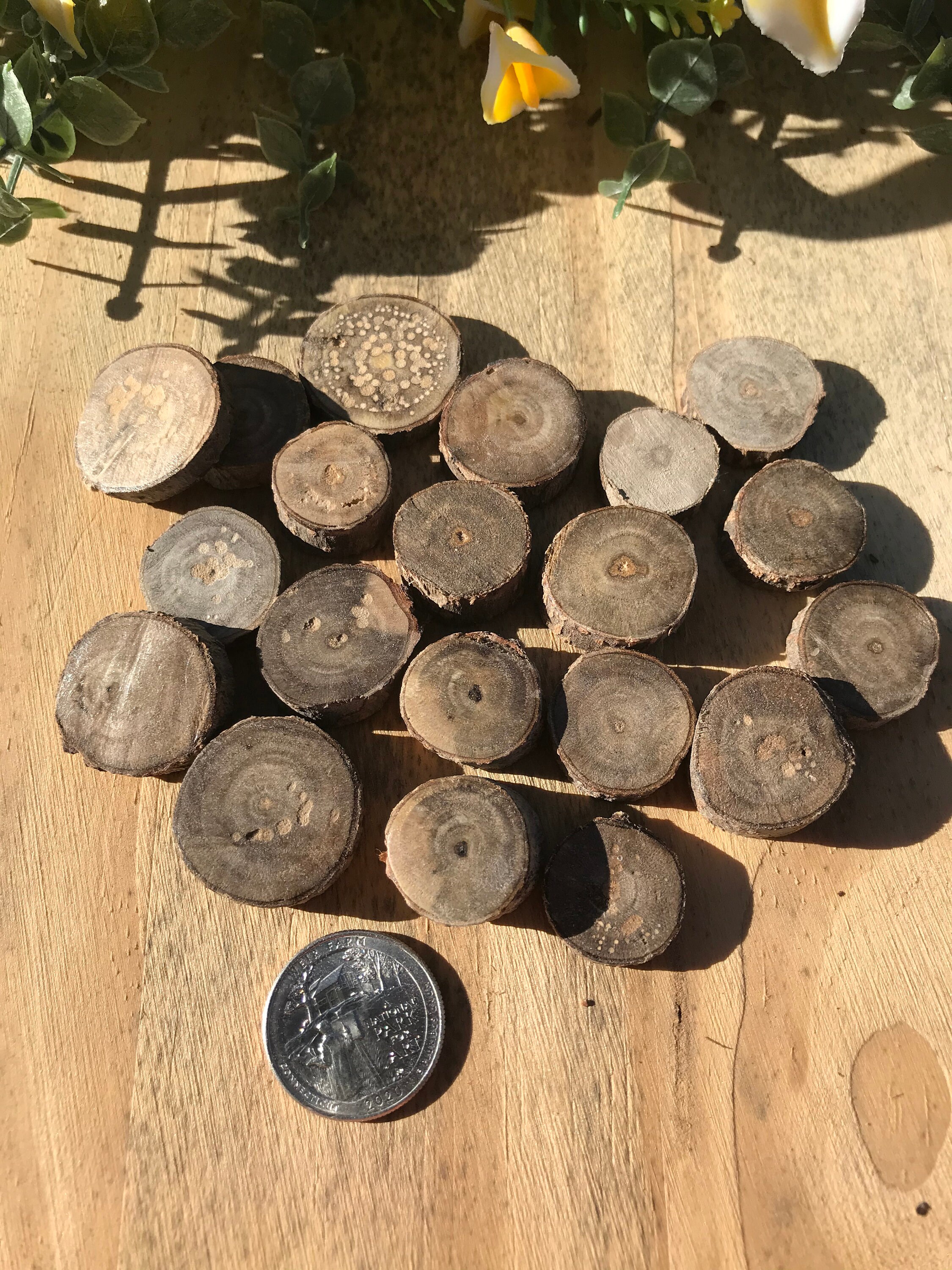 30 Assorted Cherry Wood Slices Etsy UK