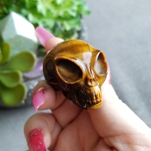 Tiger Eye Alien Skull