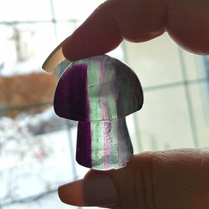 Rainbow Fluorite Mushroom