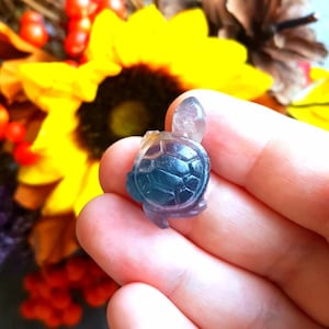 Mini Rainbow Fluorite Turtle