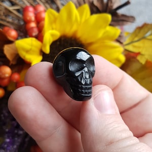 ONE - Mini Obsidian Skull Carving