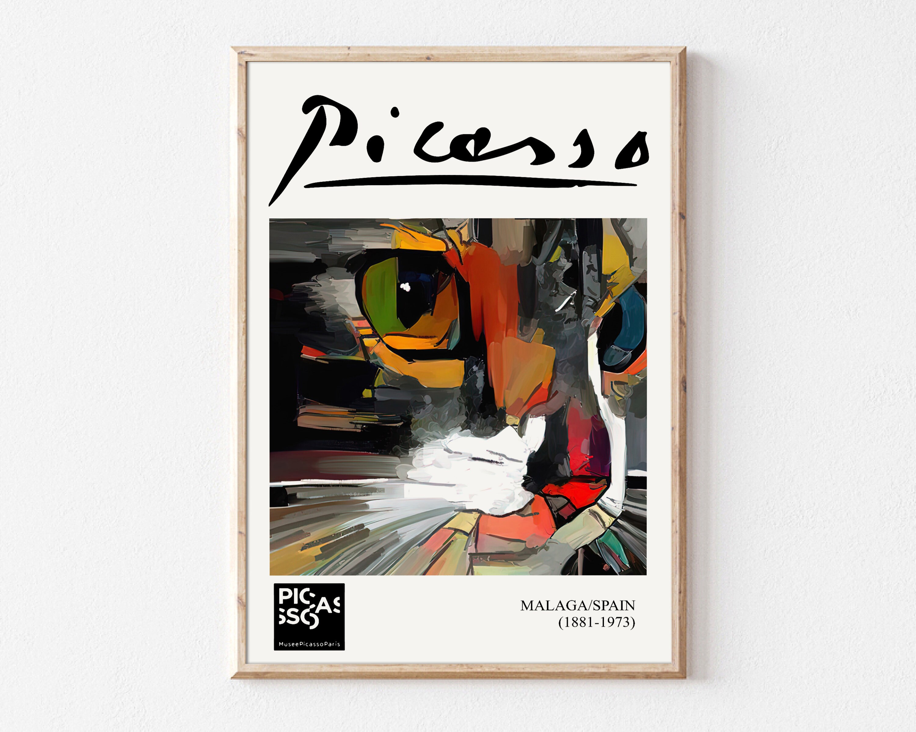 Picasso X14 Tab 