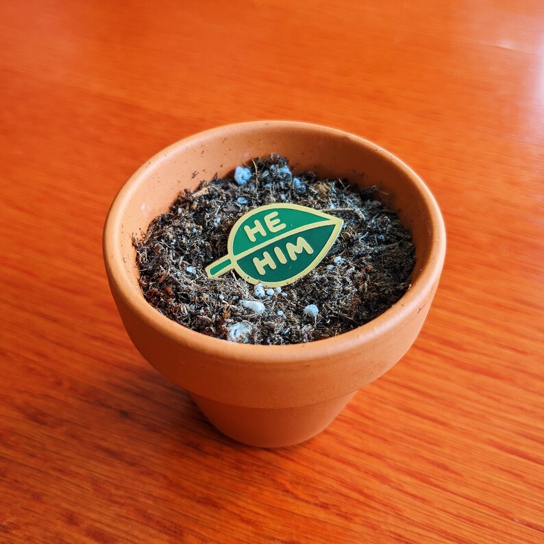 Puede incluir: Una maceta de terracota llena de tierra marr&oacute;n oscura y un pin de hoja verde con las palabras "HE HIM" en letras doradas.