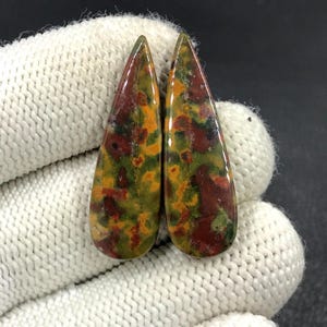 Paire de cabochons de pierre de sang... Cabochon poire... 34 x 11 x 4 mm... 25 carats... A#N8184