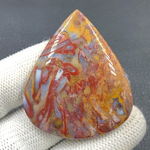 Rote Tube Cabochon Palmwurz...49x41x7 mm...97 Cts...A#J9099