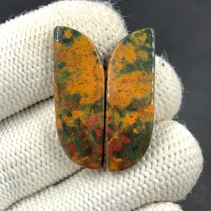 Paire de pierres de sang cabochon... Cabochon forme libre... 33 x 11 x 4 mm... 30 carats... A#N8196