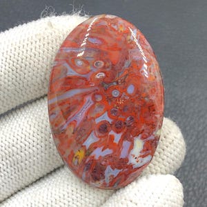 Rode tube cabochon met palmwortel... ovale cabochon... 44 x 30 x 6 mm... 59 kts... A#J9093