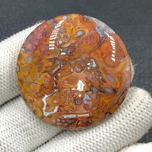 Rote Tube Cabochon Palmwurzel...39 x 7 mm...88 Cts...A#J9116