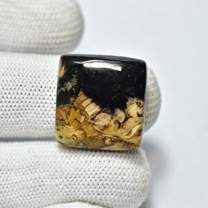 May include: A square-shaped polished gemstone featuring a high-gloss black upper section that transitions into a textured, earthy tan and brown lower section with visible organic patterns and inclusions throughout the stone's surface.