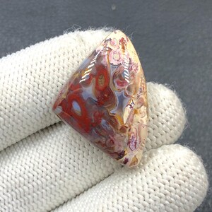 Rode tube cabochon met palmwortel... Vrije vorm cabochon... 32 x 22 x 7 mm... 31 kts... A#J91112