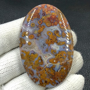 Cabochon tubolare rosso di palma...Cabochon ovale...61x40x6 mm...120 ct...A#J9085