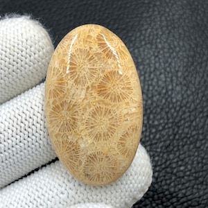 Fossil Coral Cabochon...Oval Cabochon...39x24x6 mm...43 Cts...A#O1101